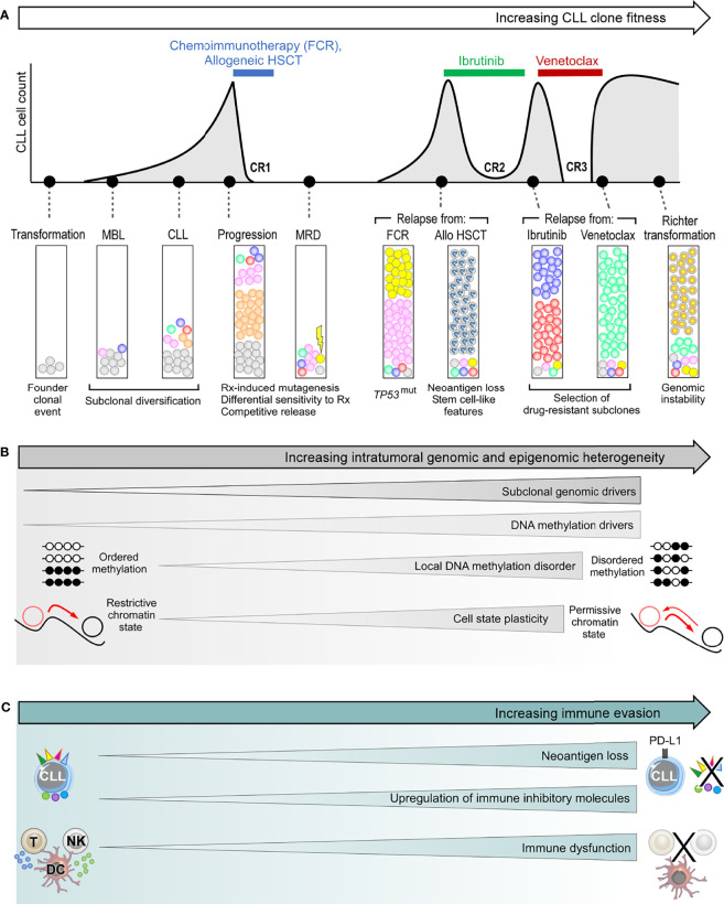 Figure 3