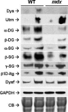 Figure 6.