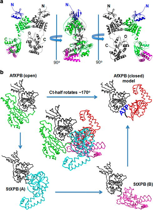 Figure 6