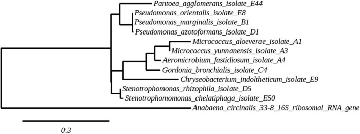 Figure 2