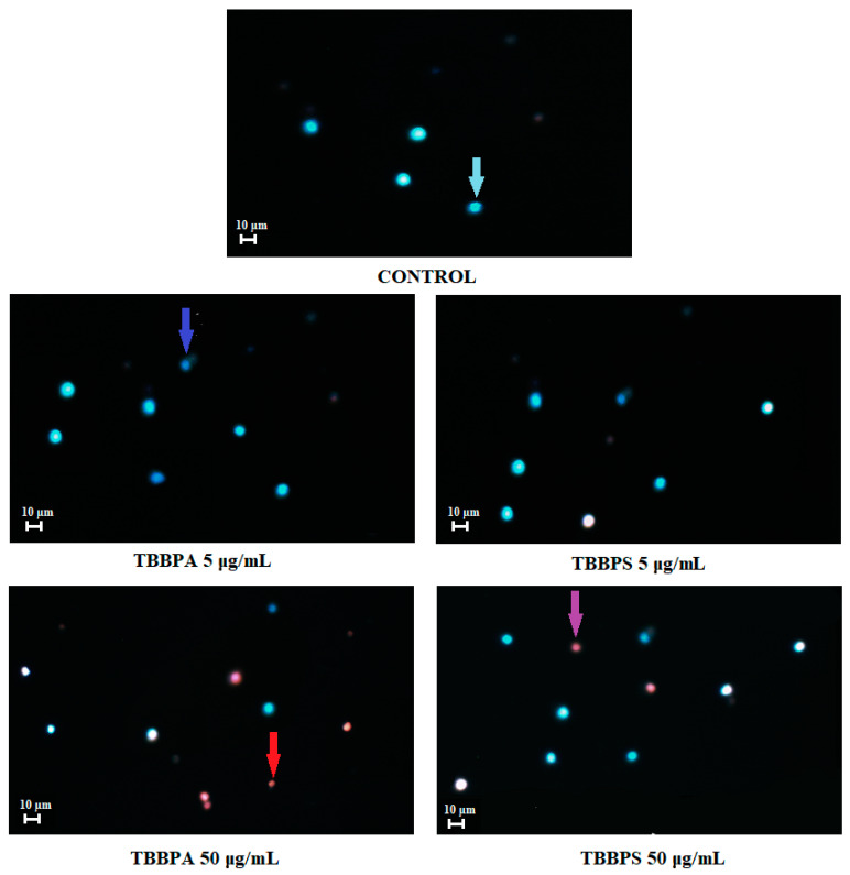 Figure 7