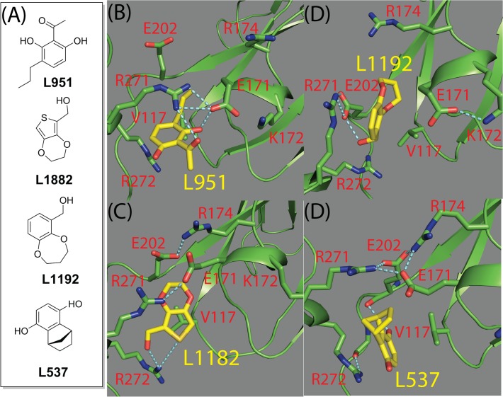 Fig 12