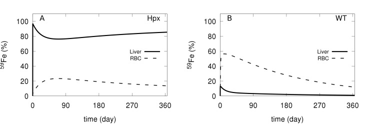 Fig 10