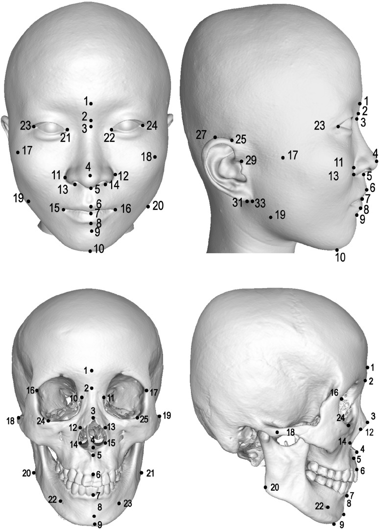 Fig. 1