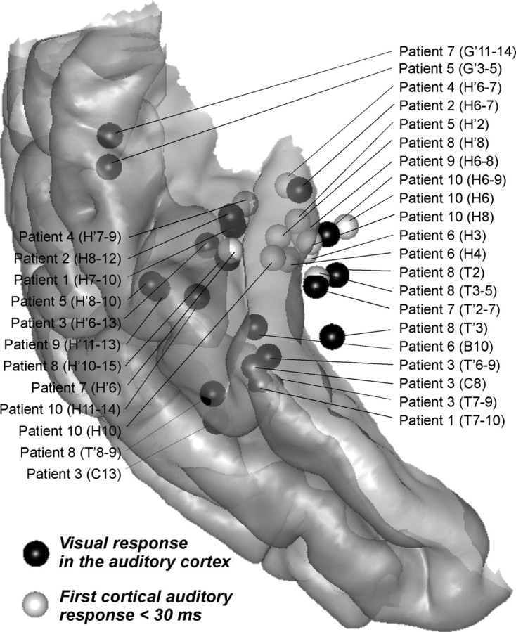 Figure 5.