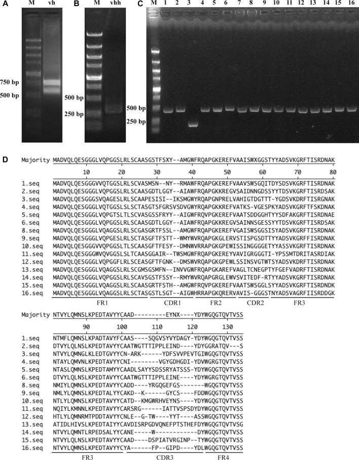 FIGURE 1