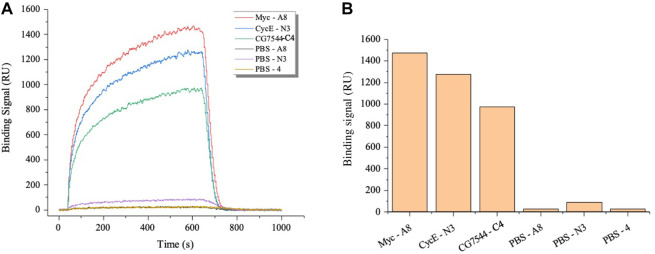 FIGURE 4