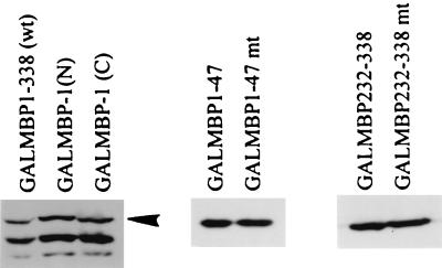 FIG. 8