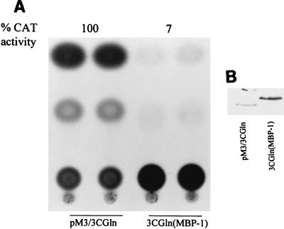 FIG. 6