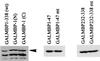 FIG. 8