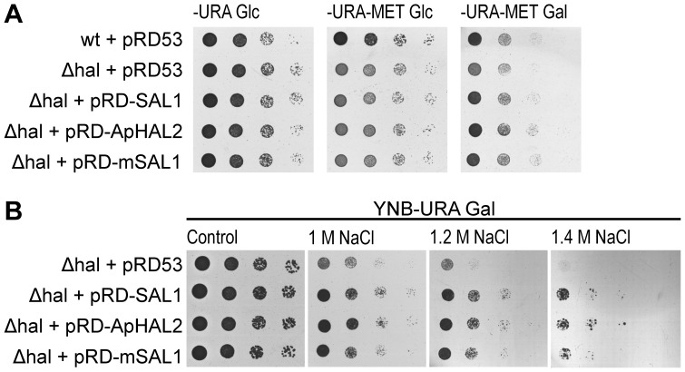 Figure 5