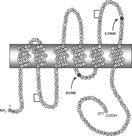 Fig. 9.