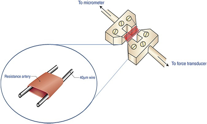 FIGURE 2