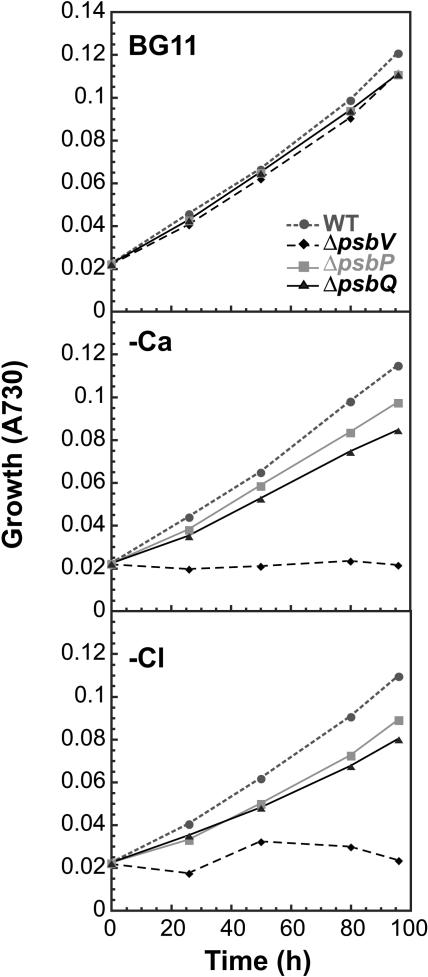 Figure 5.