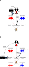 Figure 9.
