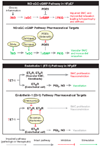 Figure 4: