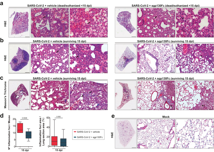 Fig. 4