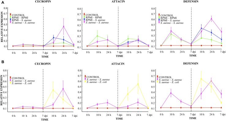 FIGURE 4