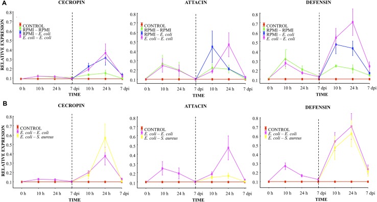 FIGURE 3