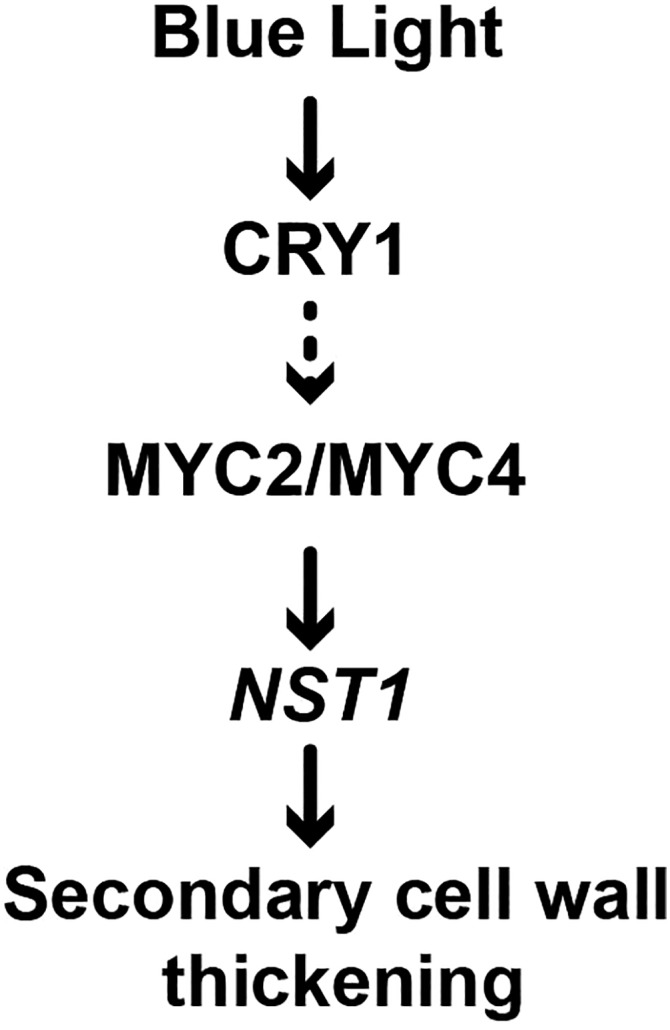 Figure 8.