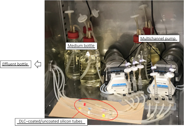 Fig. 1