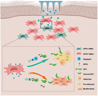 graphic file with name SMSC-5-e202500140-g007.jpg