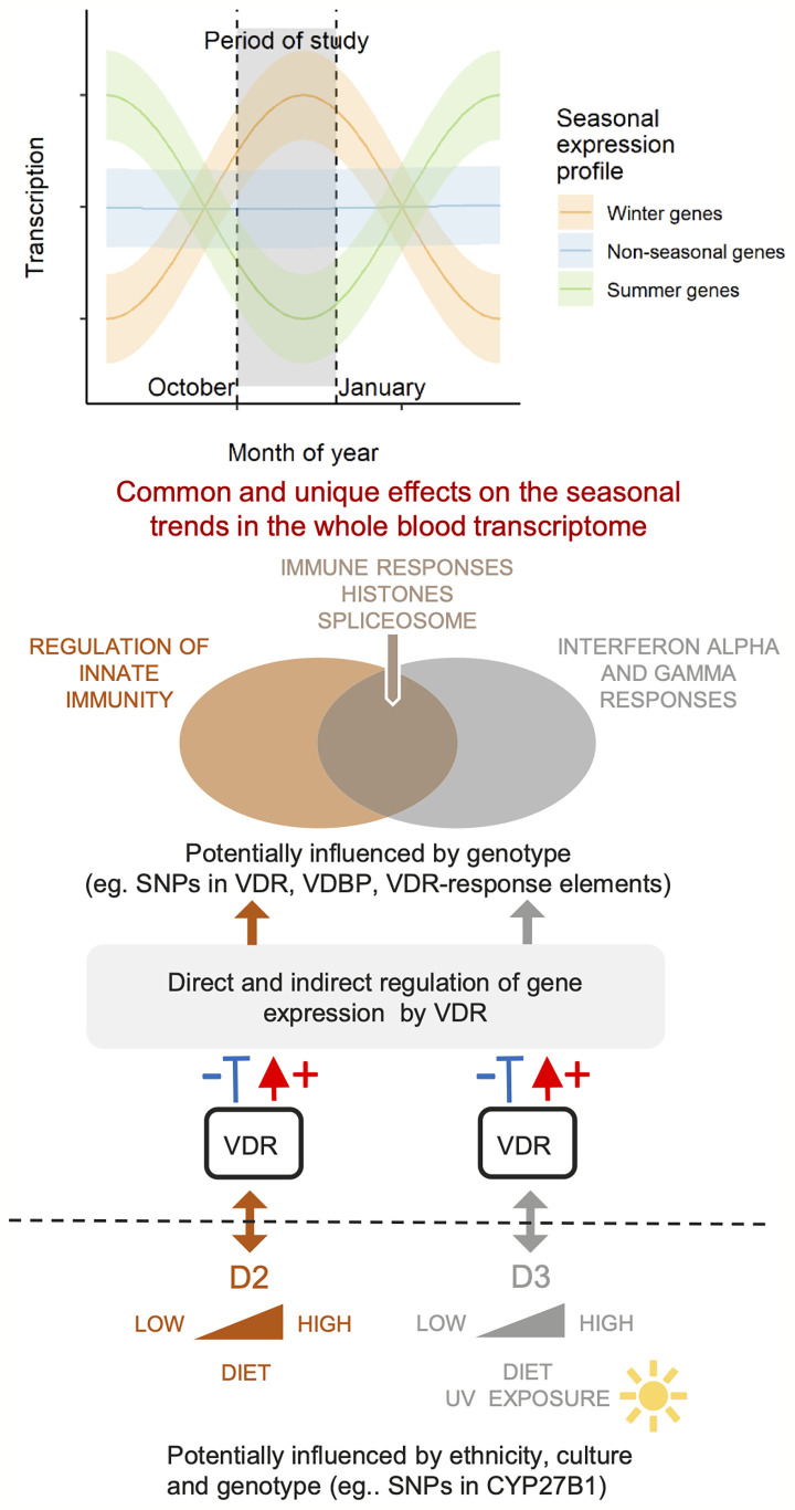 Figure 7