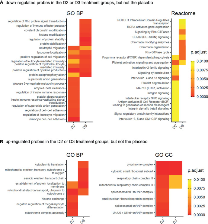 Figure 4