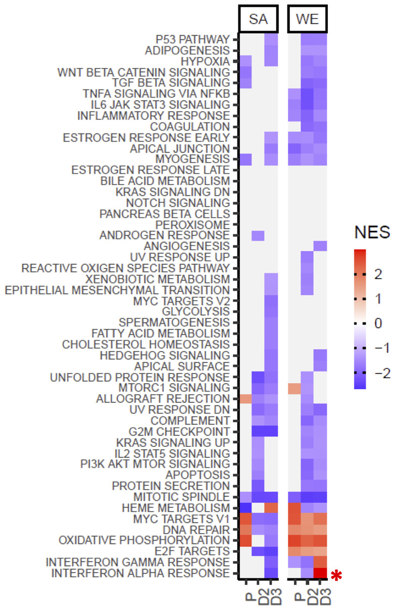 Figure 6