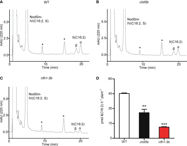 Figure 5