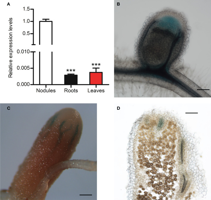 Figure 3