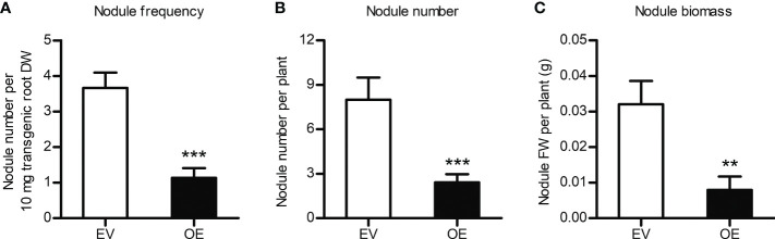 Figure 7