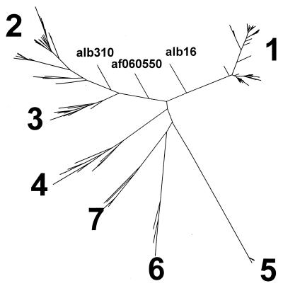 FIG. 1