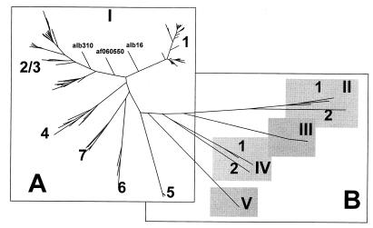 FIG. 6