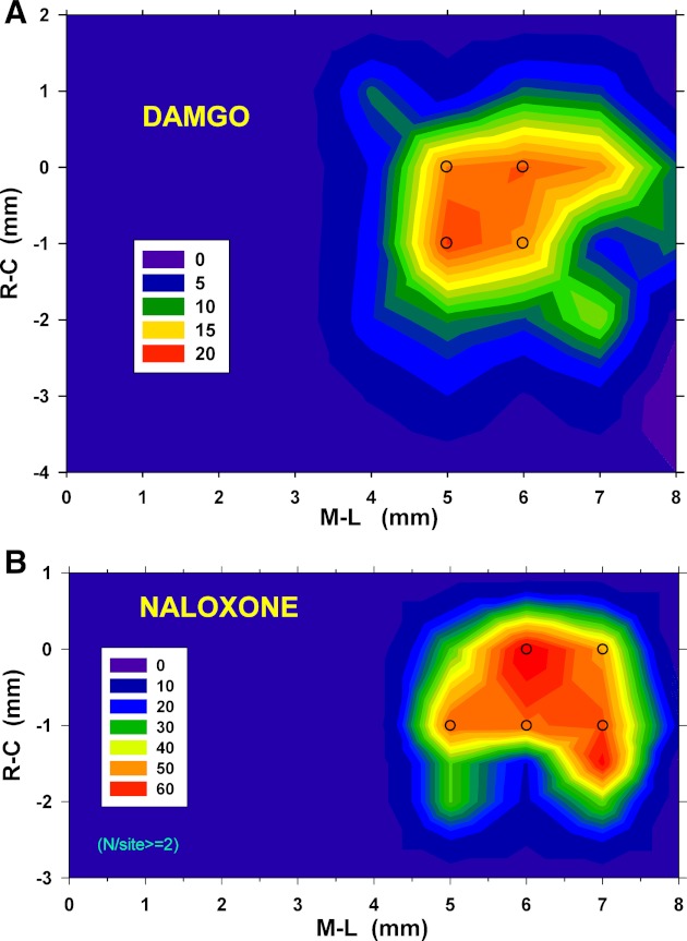 Fig. 6.