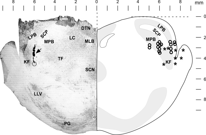 Fig. 9.