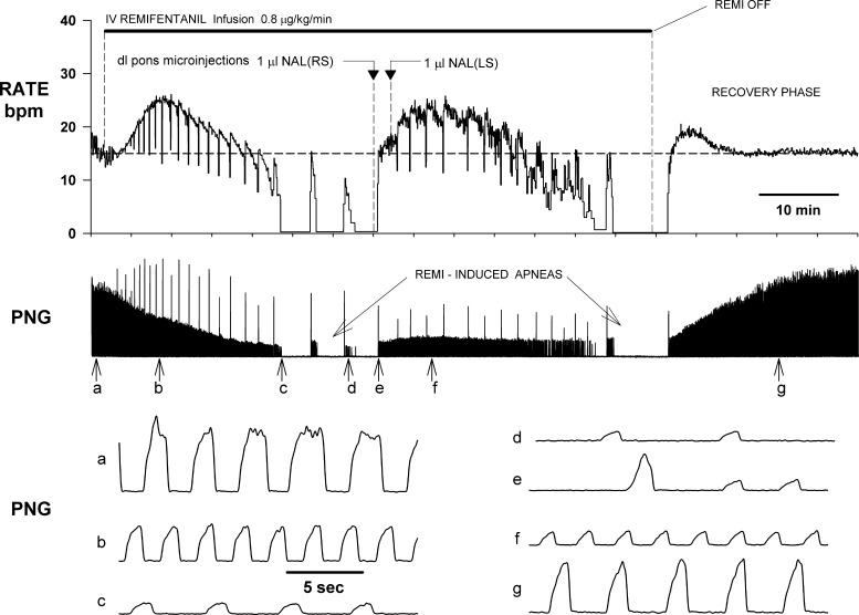 Fig. 8.