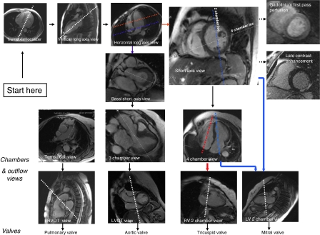 Fig. 1