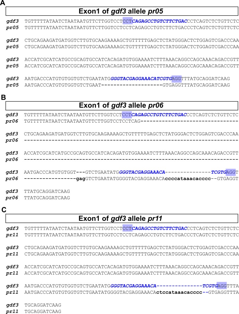 Figure 1—figure supplement 1.