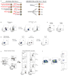 Extended Data Figure 6