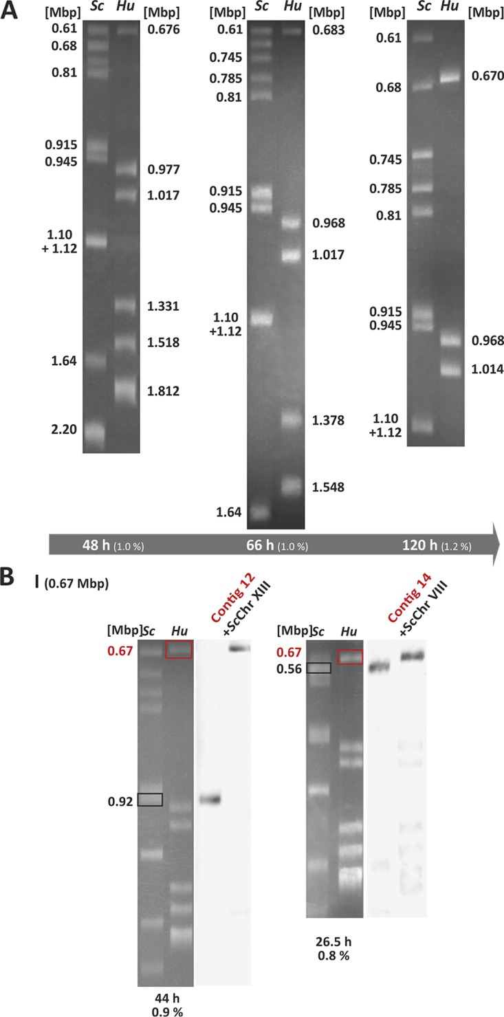 FIG 3