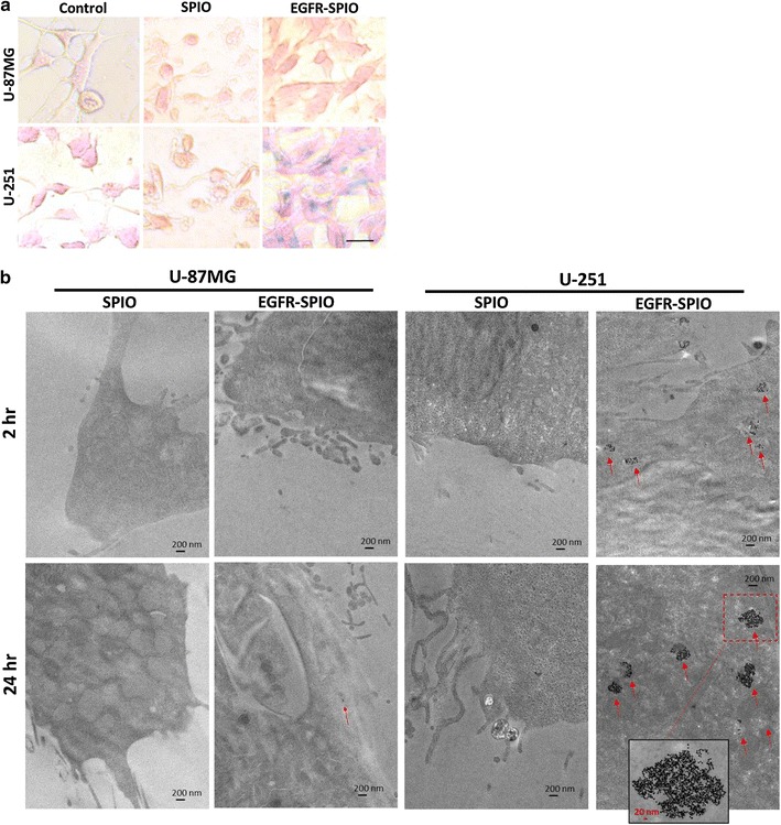 Fig. 6