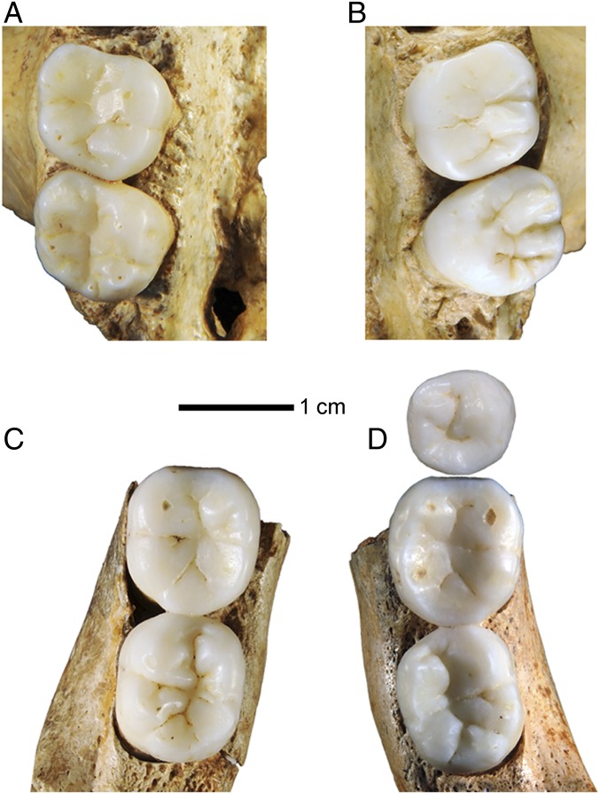 Fig. 4.