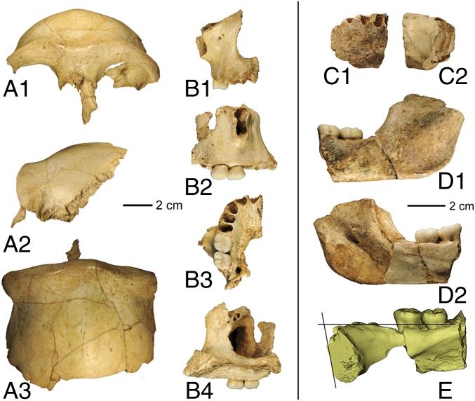 Fig. 3.