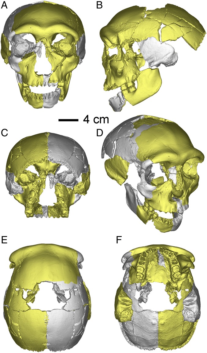 Fig. 2.