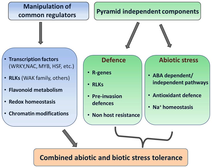 FIGURE 3