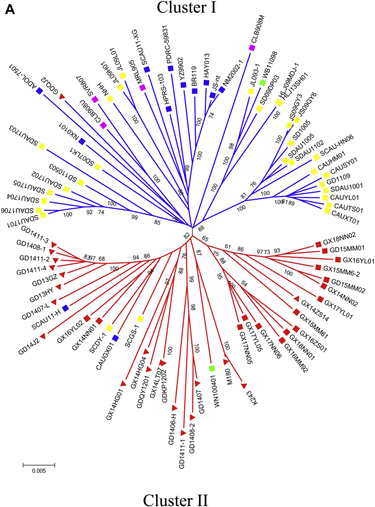 Figure 2