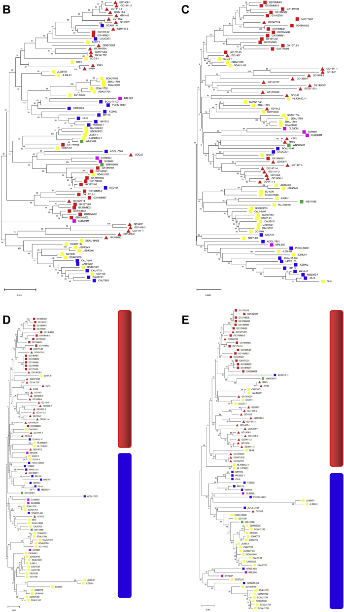 Figure 2