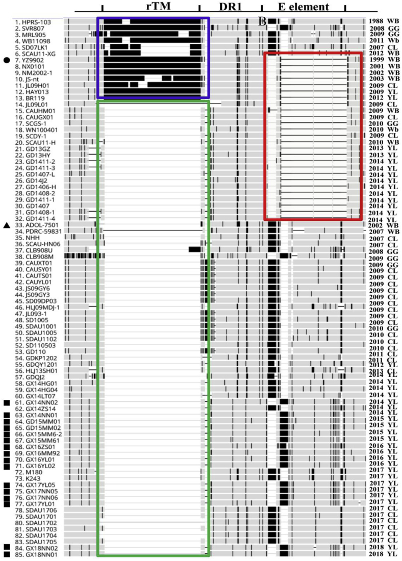 Figure 5