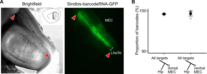 Figure 4—figure supplement 1.